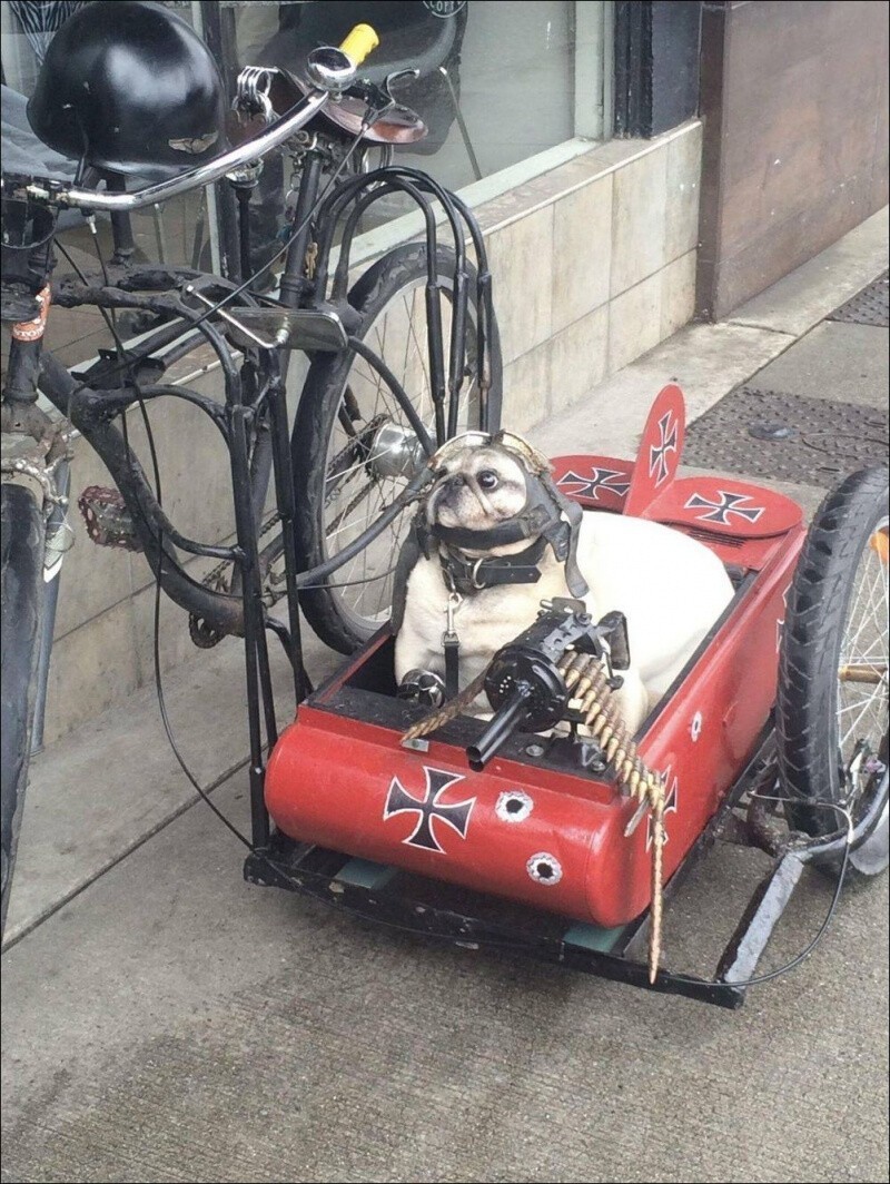 На позитиве