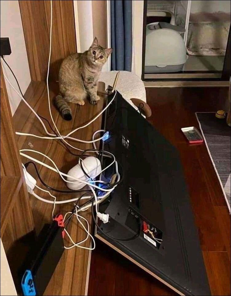 На позитиве
