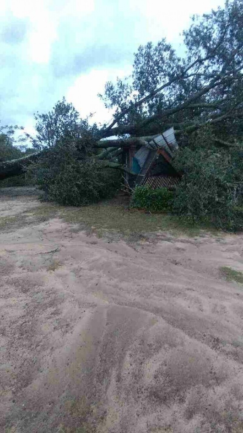 Просто во время грозы был сильный ветер, и дерево упало на наш дом