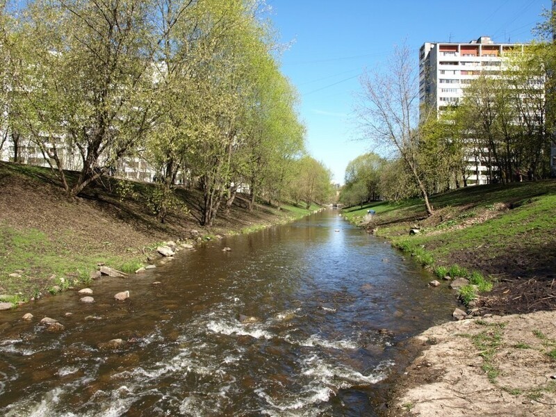 Река Городня в Москве для рыбалки: особенности, ловля, секреты