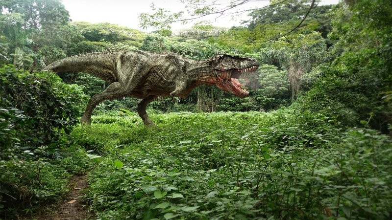 Вновь открывшиеся факты о динозаврах: действительно ли гиганты не боялись холода?