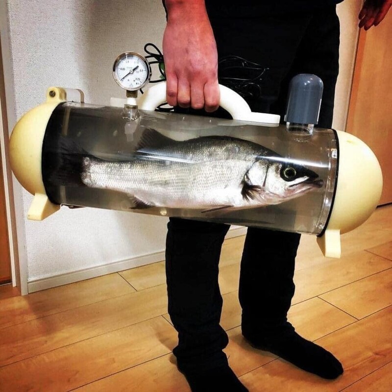 Портативное устройство для перевозки живой рыбы
