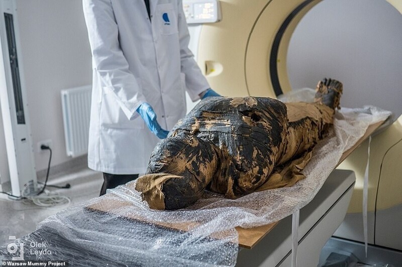 Ученые обнаружили рак у беременной египетской мумии