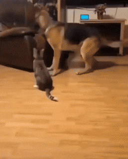 Указал не место