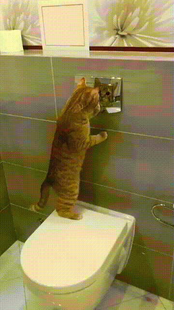 Свет мой, зеркальце, скажи да всю правду доложи