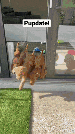 С добрым утром!