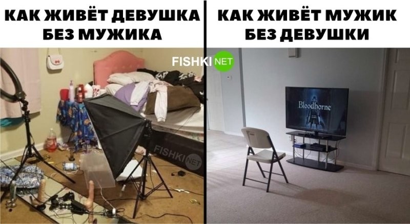 Смешные и познавательные картинки