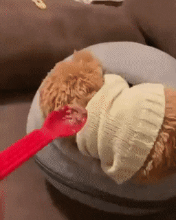 С добрым утром!