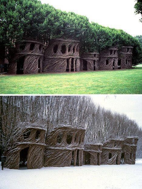 Патрик Догерти превращает живые деревья в удивительные природные древовидные здания