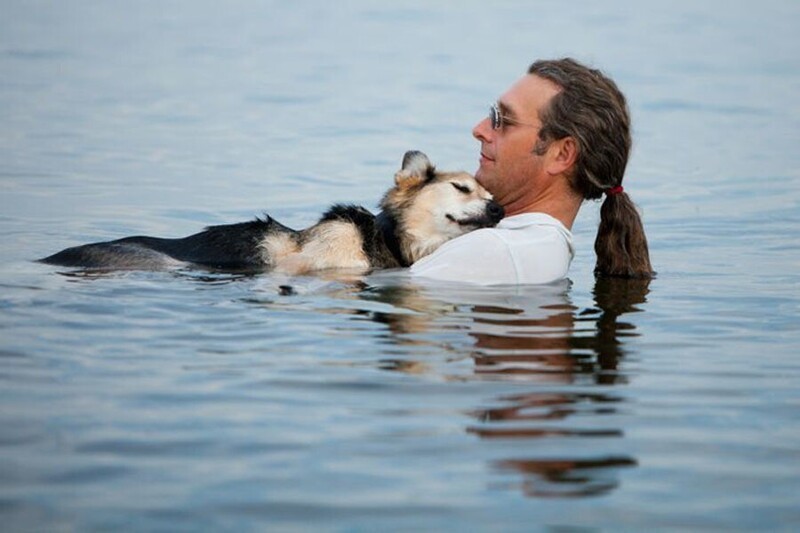 Хозяин каждый день купает свою собаку в реке, по рекомендации ветеринара