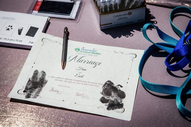 Молодожёны поставили отпечатки лапок на свадебном сертификате: