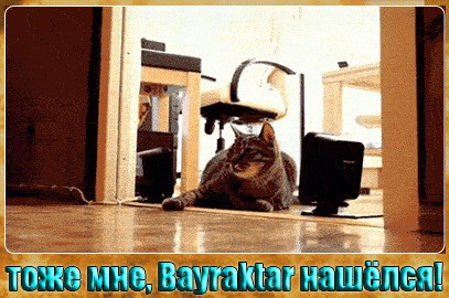 тоже мне, Bayraktar...