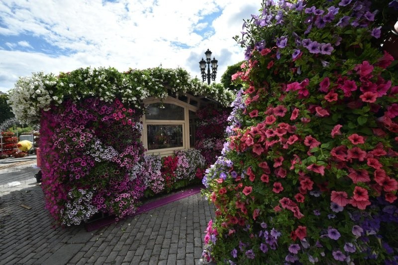 Цветочные арки, тропические острова, висячие и водные сады. В Москве начался фестиваль садового искусства