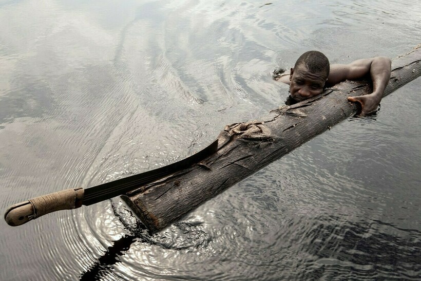 Печальная действительность: 12 фотографий Нигерии, показывающих исчезающие леса