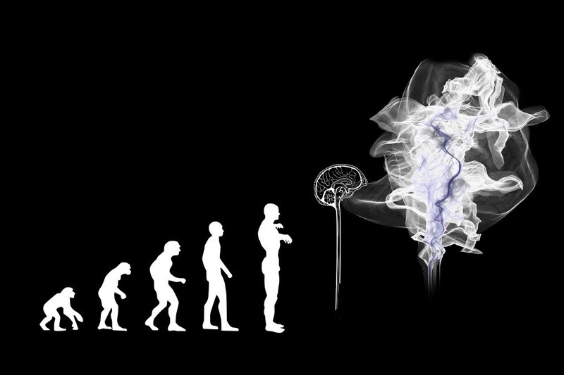 Что происходит с эволюцией человека?