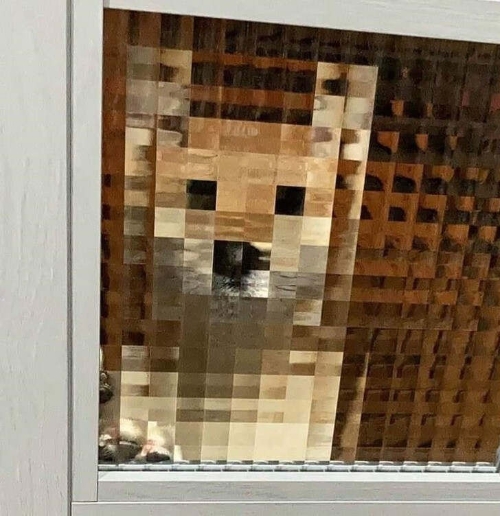 Пиксельный пес