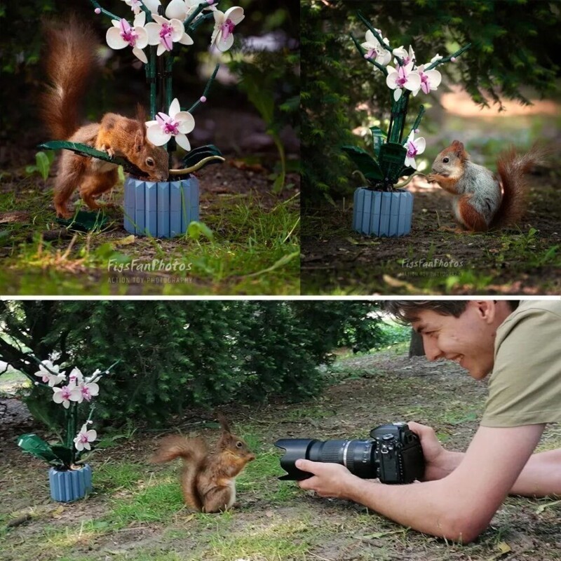 Венгерский фотограф создает мини-миры