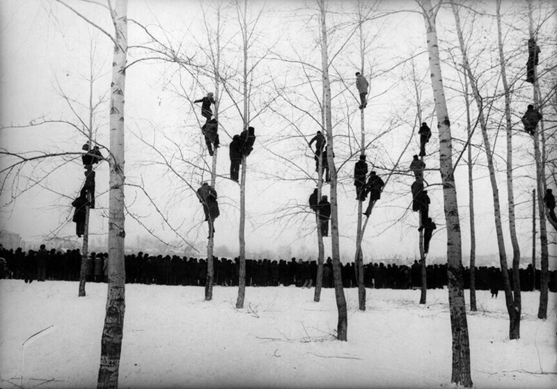 1. Болельщики забрались на деревья, чтобы увидеть футбольный матч между Бельгией и Голландией, 1913 г