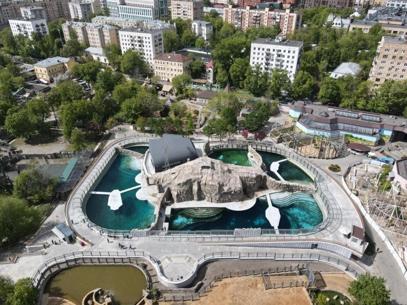 В Московском зоопарке открылся павильон «Ластоногие» и построен «Японский дворик»