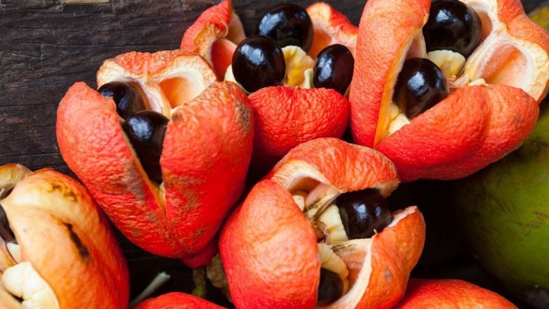 Настоящая экзотика: ягоды и фрукты, которые вы вряд ли когда-либо пробовали
