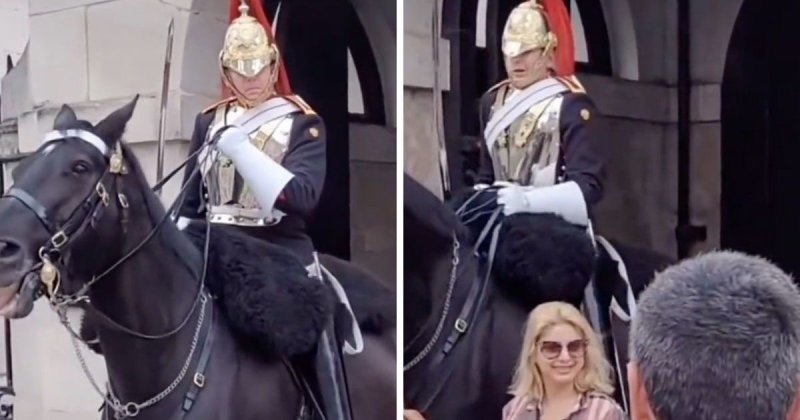 Гвардеец Елизаветы II наорал на туристку за то, что она прикоснулась к поводьям лошади