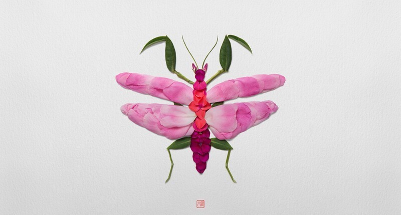 Художник также делает насекомых и других животных из цветов и листьев: