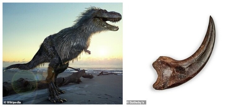 Скелет редкого динозавра ушёл с молотка за 6 миллионов долларов