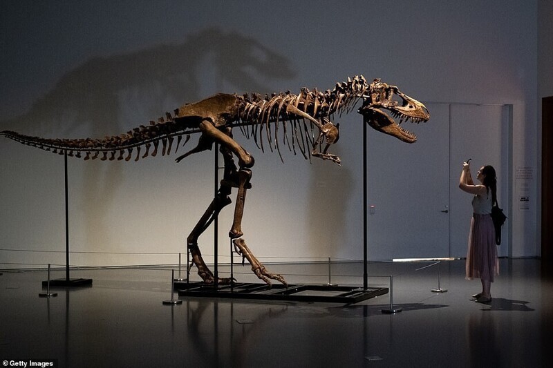 Скелет редкого динозавра ушёл с молотка за 6 миллионов долларов