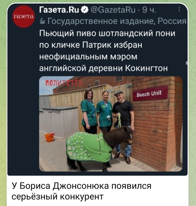 О политике и не только