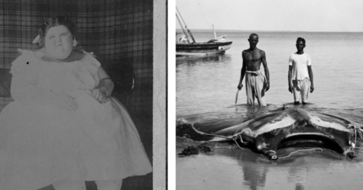 Невероятные Исторические Фотографии