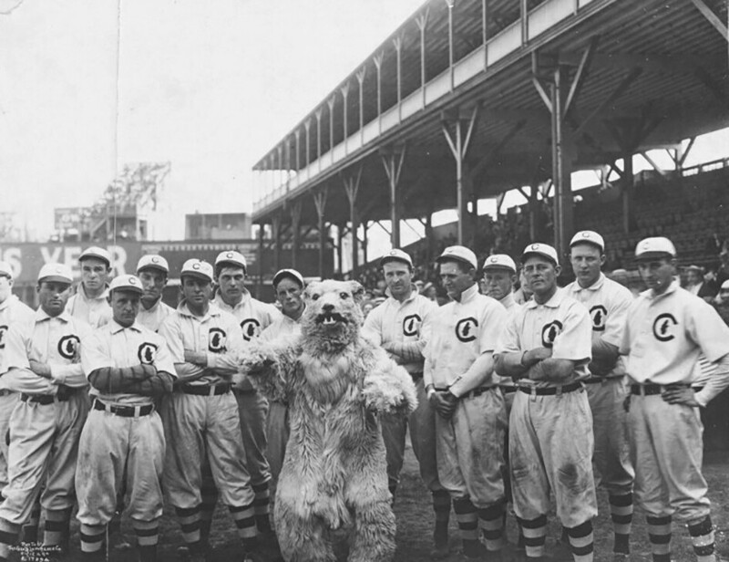 Команда "Чикаго Кабс" с талисманом, Чикаго, штат Иллинойс, 1908 год