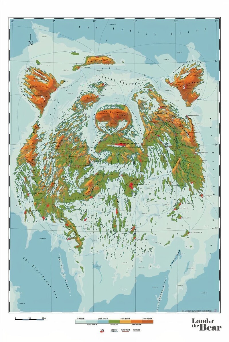 Земля медведей - Ursidae