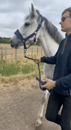 А теперь ты пойдешь за мной