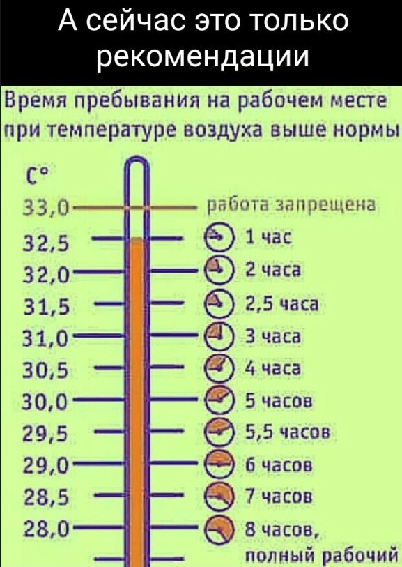 Йожика картинки. Выпуск 176