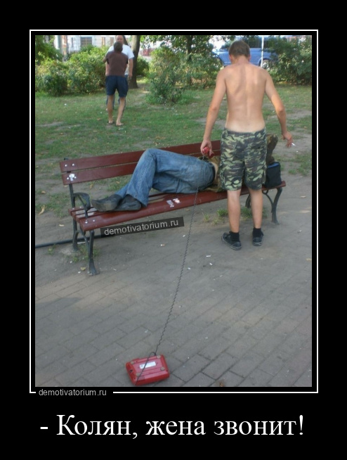 - Колян, жена звонит!