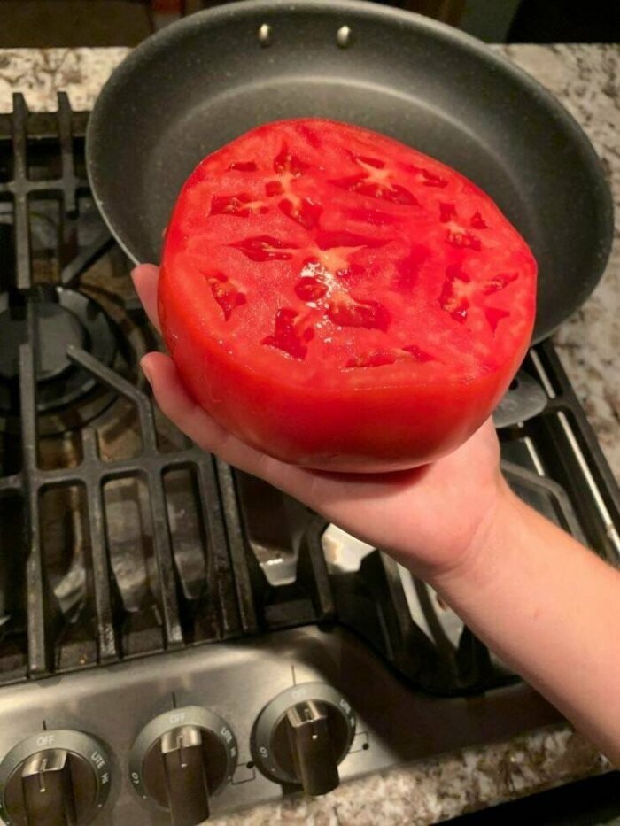 Намешалось