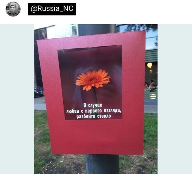 Скрины из соцсетей