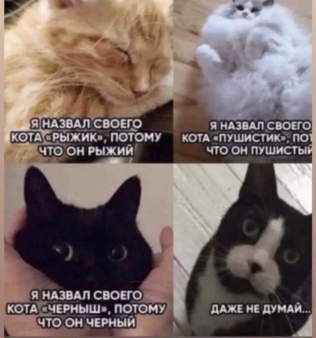 Не ищите здесь смысл. Здесь в основном маразм
