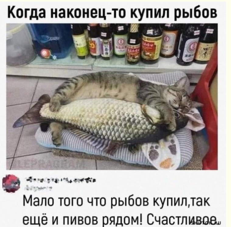 Йожика картинки. Выпуск 180