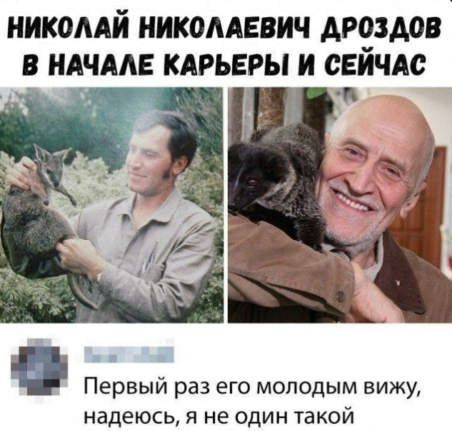 Йожика картинки. Выпуск 180