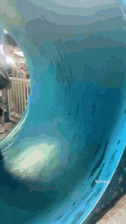 Когда твой парень еще тот затейник