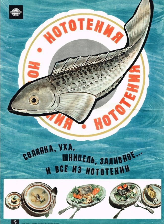 Традиция рыбного четверга – действительно ли это изобретение эпохи СССР?