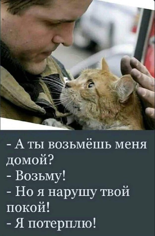 Йожика картинки. Выпуск 182