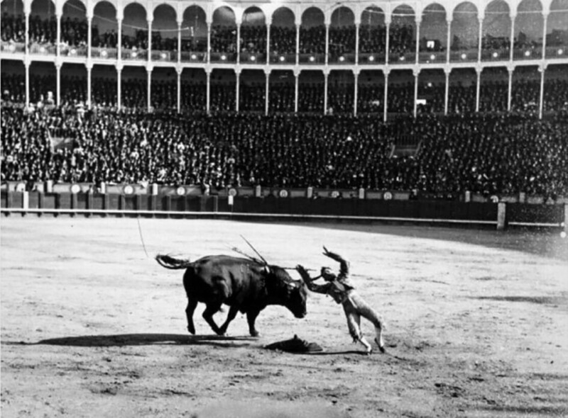 Матадор Флорентино Баллестероса падает раненый быком, г. Мадрид, 1916 год