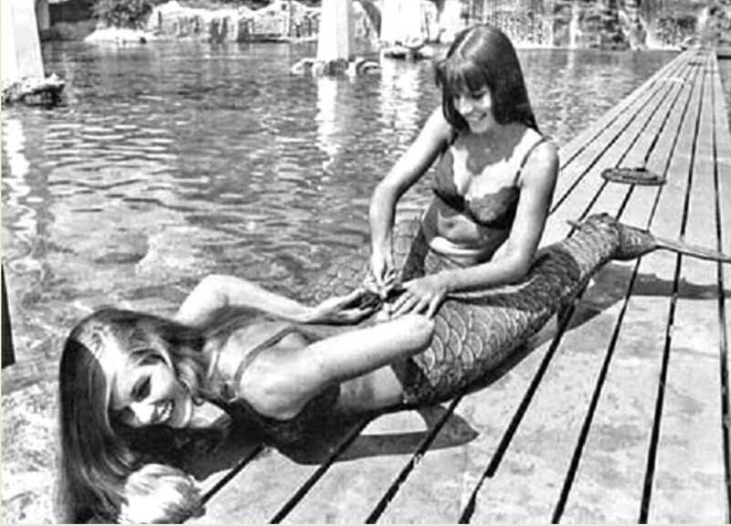 Русалка разжирела, в хвост не влезает, Диснейленд, 1967 год