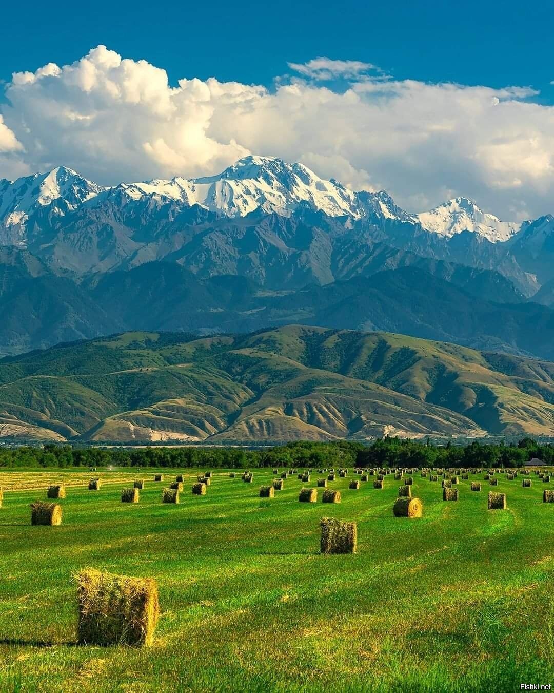 талгар город в казахстане