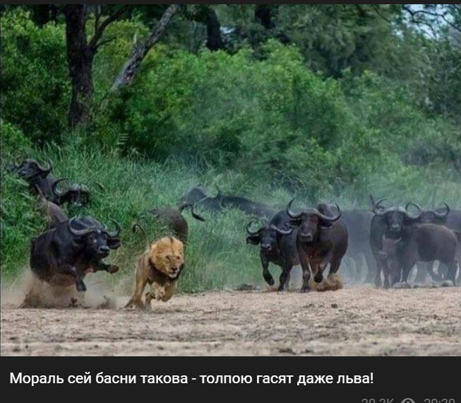 Политический новостной мониторинг событий в мире. Выпуск 209