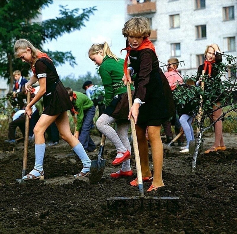 Школьный "субботник". СССР, 1980-е