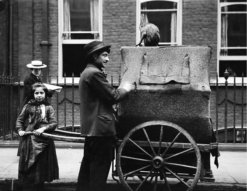 Шарманщик на улицах Лондона, в его ремесле ему помогают дочь и ручная обезьянка. 1904 год