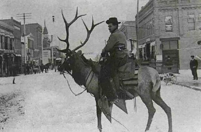 Мужчина едет на олене по городу, Канада, 1900 год